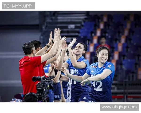 深圳排球队的节奏与魅力探索：排球运动在城市中的发展与影响